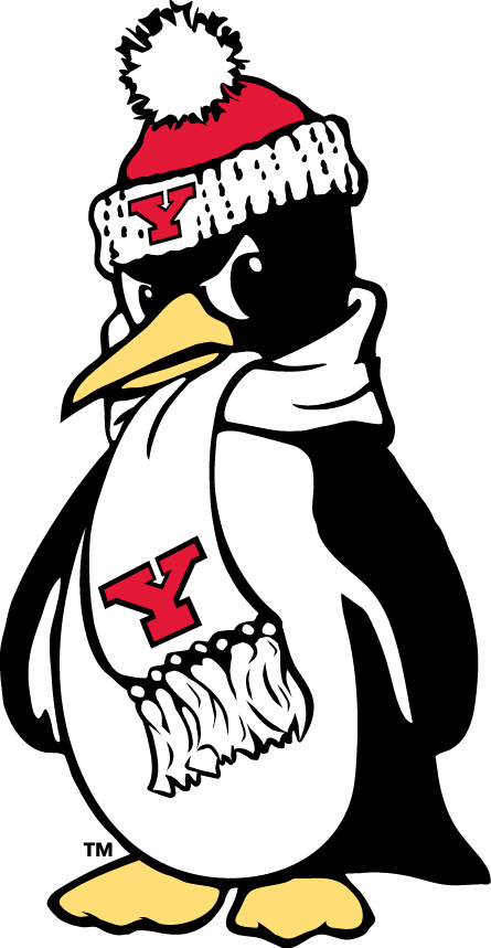 Youngstown State Penguins 1993-Pres Alternate Logo v4 diy fabric transfer
